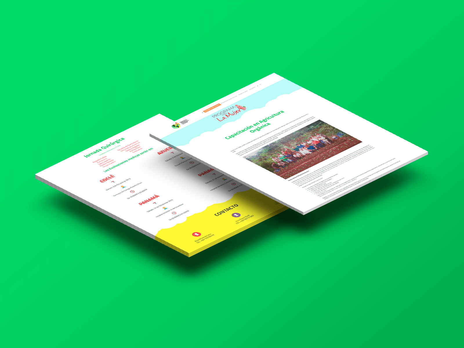 83pixeles | Asociación de Empresarias y Profesionales de Panamá | Diseño Web Adaptativo en Panamá